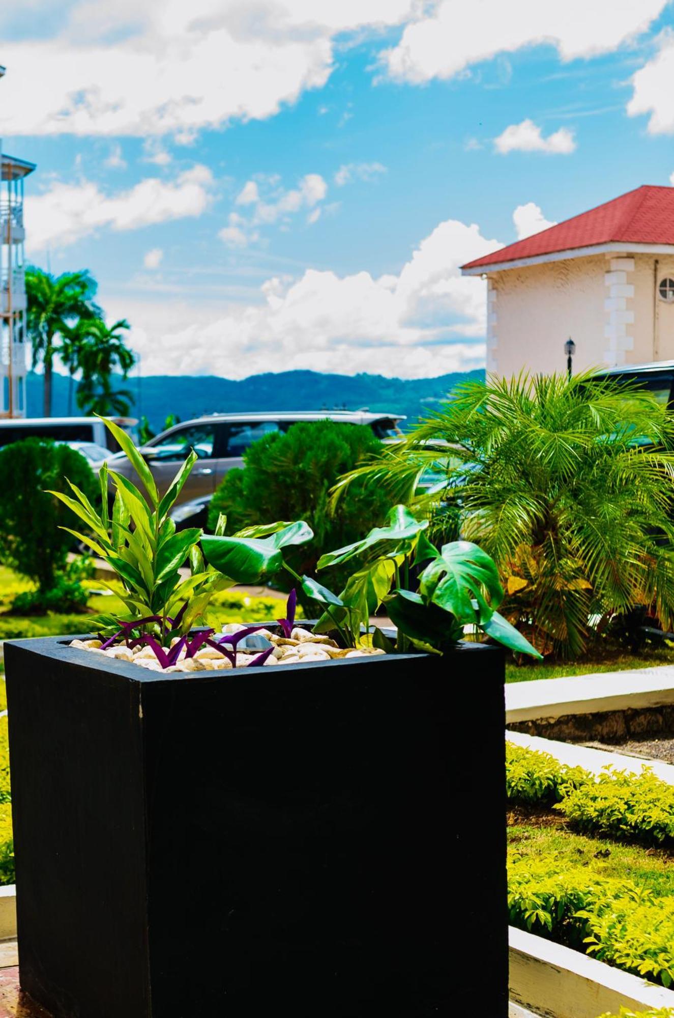 Falcon Shoreline- Airport Pickup Available - Gated-Security Montego Bay Exterior foto